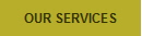 OUR SERVICES
